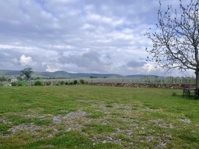 Weingut & Gästehaus Mühlhäuser an der südlichen Weinstraße