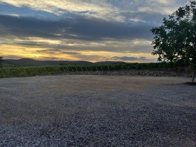 Weingut & Gästehaus Mühlhäuser an der südlichen Weinstraße