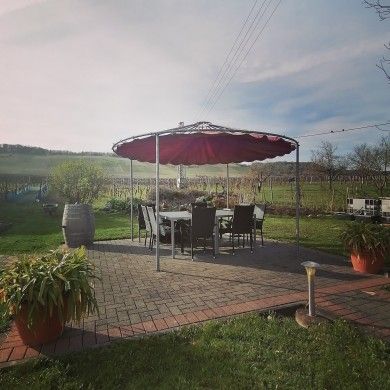 Weingut Tiliahof 