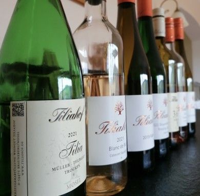 Weingut Tiliahof 
