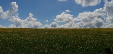 Ferienwohnung Panoramablick