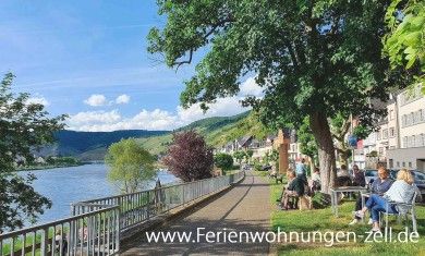 Fewo Hallenbach mit herrlichem Moselblick