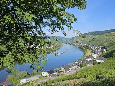 Waldecks Moselparadies in Traumlage ganz nah an der Mosel