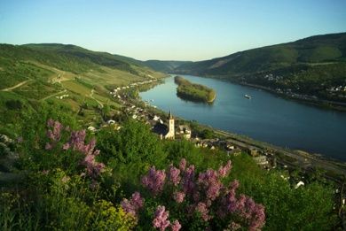 Weingut & Gästehaus Rößler