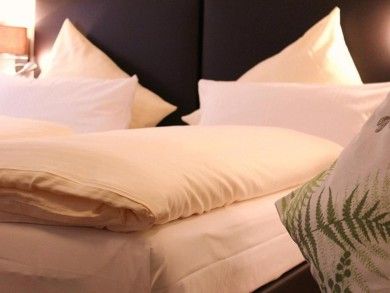 Baum's Rheinhotel