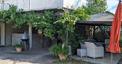 Ferienwohnung Panoramablick  Dahner Felsenland - Südwestpfalz