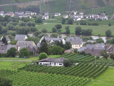 Weingut - Gästehaus Rudi und Paula Reiter