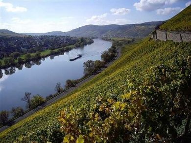 Weingut - Gästehaus Rudi und Paula Reiter