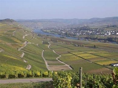 Weingut - Gästehaus Rudi und Paula Reiter