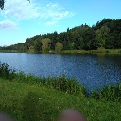 Campingplatz Hauserbachsee