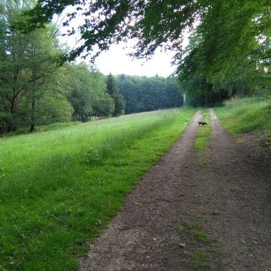 Campingplatz Hauserbachsee
