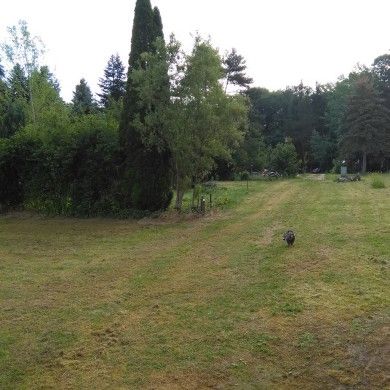 Campingplatz Hauserbachsee