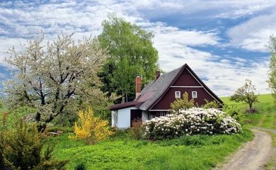 Ferienhäuser in Rheinland-Pfalz