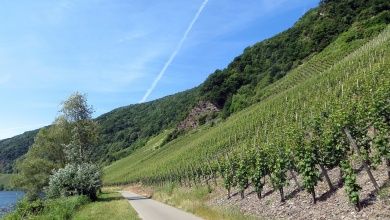 Kurzurlaub an der Mosel.jpg