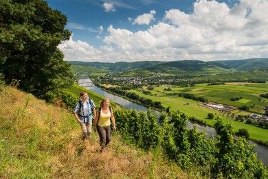 Brauneberg