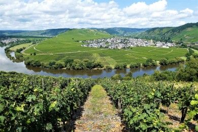 Piesport