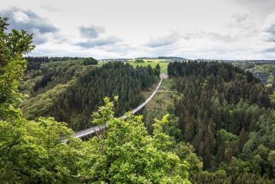 Hunsrück Geierlay