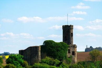 Taunus