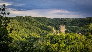 Manderscheid