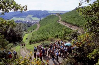 Monzingen