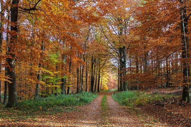 Hotels, Campingplätze und Ferienwohnungen im Hunsrück