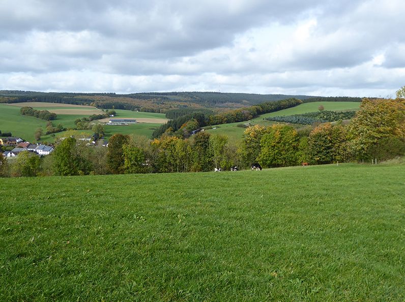 Hotels, Campingplätze und Ferienwohnungen in Bleialf