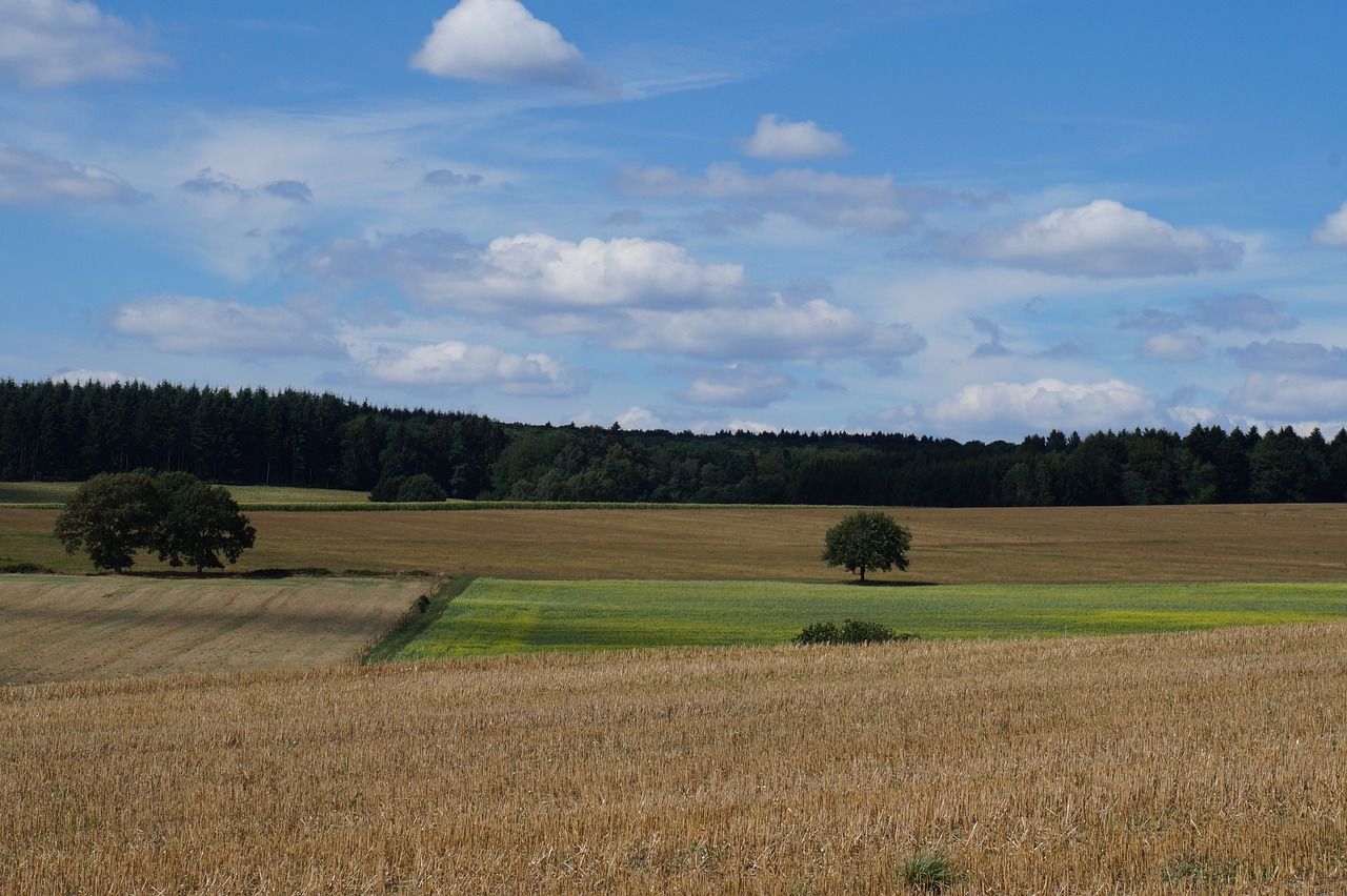 Hotels, Campingplätze und Ferienwohnungen in Morbach