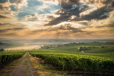 13171-hiwweltour-heideblick.jpg