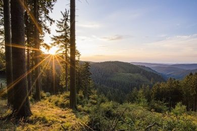 rothaarsteig2.jpg