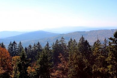 taunus-988730_1280.jpg