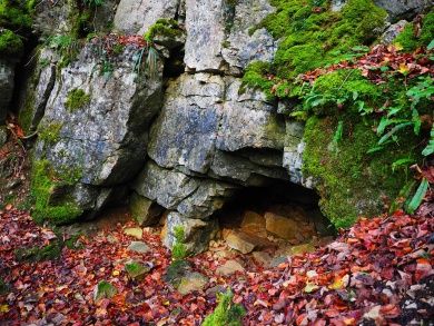 cave-entrance-767609_1280.jpg