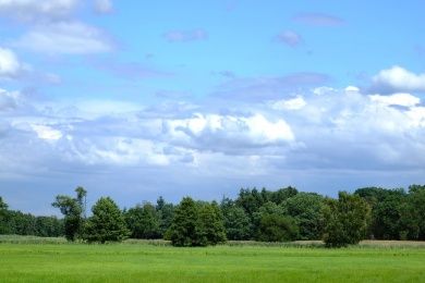 glade-889956_1280.jpg