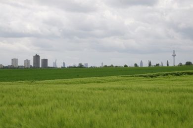 grüngürtel.jpg