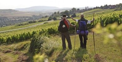 zellertalweg.jpg
