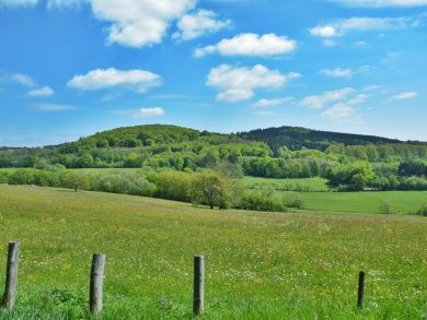 vogelsberg.jpg