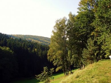 spessart.jpg