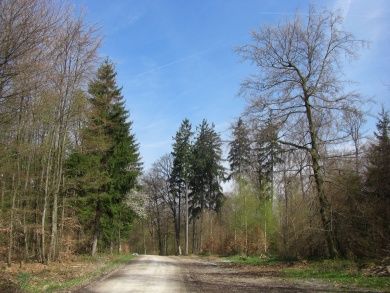 spessart (2).jpg