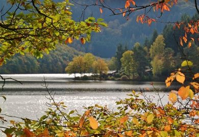 lake-505168_1280.jpg