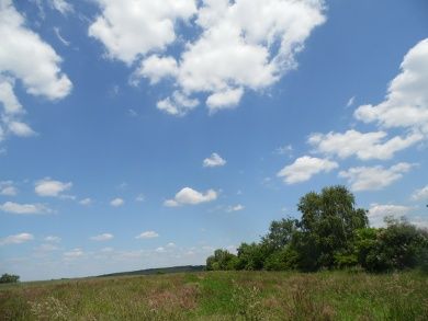 clouds-173921_1280.jpg
