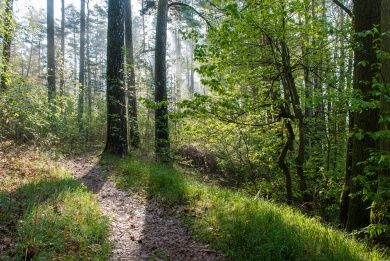 wandern.jpg