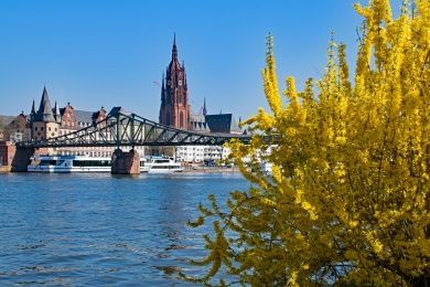 frankfurt-2195288_1280 (1).jpg