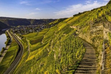 Winningen.jpg