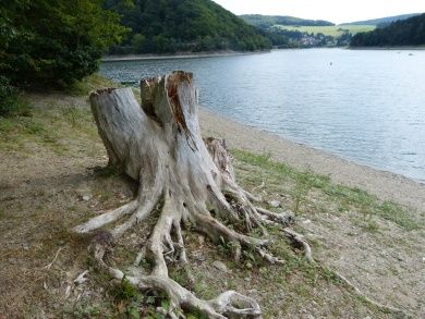 diemelsee.jpg