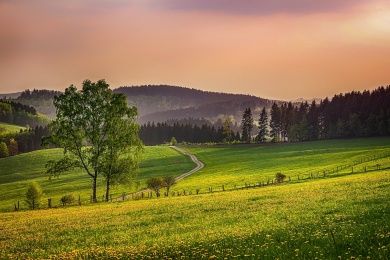 sauerland-g67fba6206_1280.jpg