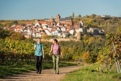 leiningerburgenweg.jpg