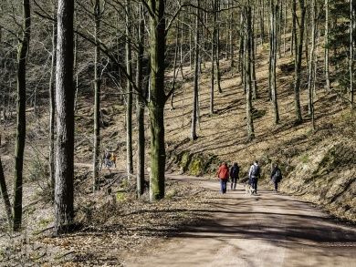 hike-g357fa5594_1280.jpg