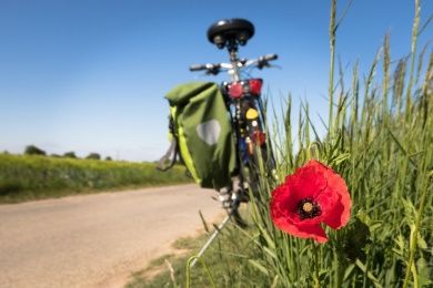 to-go-biking-g8de5be2b6_1280.jpg