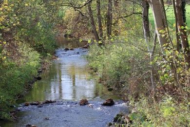 stream-7562314_1280.jpg
