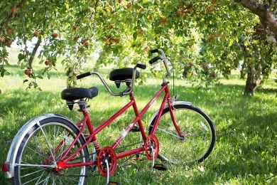 tandem-bike-905067_1280.jpg