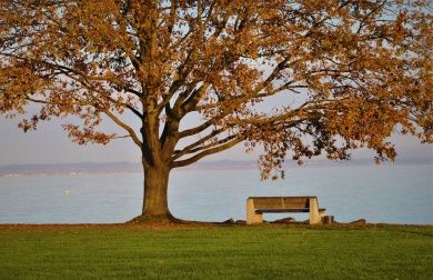 bench-5739206_1280.jpg
